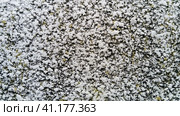Concrete plaster coating. The facade is uneven, rough to the touch. An old surface on which moss is visible. Close-up. Gray, white, red, dark, swamp blotches. Стоковое фото, фотограф Юлия Петровская / Фотобанк Лори