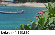 Red frangipani plumeria flowers wiggle by the ocean breeze near tropical beach with rippled turquoise blue water in background. Стоковое фото, фотограф Igor Tichonow / Фотобанк Лори