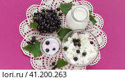 Video of ripe garden blackcurrants and summer organic dairy products for breakfast. Jug of milk, bowl of cottage cheese and Greek yogurt with berries on handmade lace napkin on pink table. Top view, closeup. Стоковое видео, видеограф Виктория Катьянова / Фотобанк Лори