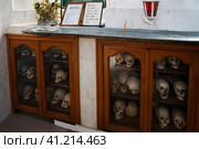 Муром, Россия, июнь 2012 года. Черепа, хранящиеся в костнице  Спасского мужского монастыря в Муроме. Надпись: "Помни всякий брат: мы были, как вы, вы будете, как мы". Редакционное фото, фотограф Сергей Никифоров-Гордеев / Фотобанк Лори