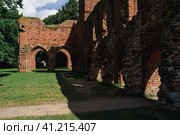 Ruins of Eldena Abbey (Hilda Abbey) - is a former Cistercian monastery near the present town of Greifswald in Mecklenburg-Vorpommern, Germany (2021 год). Стоковое фото, фотограф Sergey Kohl / Фотобанк Лори