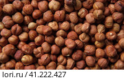 Hazelnuts harvest. Filbert video wallpaper. Full frame of hazel. Cobnut background. Peeled brown nut kernels. Healthy organic bio products. Vegetarian, vegan and raw food. Back to nature. Healthy fat. Стоковое видео, видеограф Марина Демидюк / Фотобанк Лори