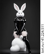 Белый пушистый кролик в костюме из черного латекса. White Fluffy Rabbit in a Black Latex Costume AI generated. Стоковое AI-изображение, AI-художник Алексей Траст / Фотобанк Лори