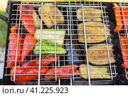 Top view photo of a grilled vegetables, peppers, eggplants and courgette on the chargrill. Outdoor picnic. Фотография овощей-гриль, перца, баклажанов и кабачков на углях, вид сверху. Пикник на открытом воздухе. Стоковое фото, фотограф Дмитрий Березнев / Фотобанк Лори
