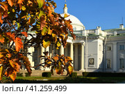 Golden autumn in park of Sklifosovsky Clinical and Research Institute for Emergency Medicine. Moscow (2023 год). Стоковое фото, фотограф Валерия Попова / Фотобанк Лори