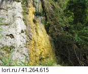 Drainage of organic wastewater from an overflowing sewerage system from a cliff to the Vysoky Bereg beach in Anapa, Krasnodar Territory, August 2021. Feces flow down. Inaction of city utilities. Стоковое фото, фотограф Юлия Петровская / Фотобанк Лори