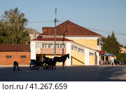 Город Углич, Ярославская улица, 1. Галерея современного православного искусства "Под Благодатным Покровом" и темный силуэт лошади, запряженной в коляску, перед ним (2023 год). Редакционное фото, фотограф Наталья Николаева / Фотобанк Лори