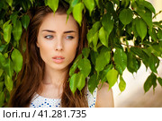 Beautiful female shoulders. Стоковое фото, фотограф Андрей Аркуша / Фотобанк Лори