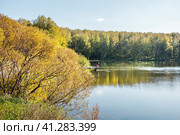 Река Ача осенью. Село Корнилово, Болотнинский район, Новосибирская область, Западная Сибирь России. (2023 год). Стоковое фото, фотограф Евгений Мухортов / Фотобанк Лори