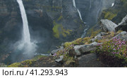 Iceland Haifoss waterfall with highland flowers in foreground. Стоковое фото, фотограф Igor Tichonow / Фотобанк Лори