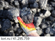 A large shiny piece of coal in a man's hand. Fossil fuels for stoves and fireplaces. Coal mining. Стоковое фото, фотограф Коханова Наталья / Фотобанк Лори