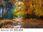 Early autumn in a park in the forest (2014 год). Редакционное фото, фотограф Сергей Бочаров / Фотобанк Лори