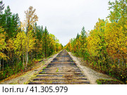 Заброшенная железная дорога в осеннем лесу. Стоковое фото, фотограф Анна Аникова / Фотобанк Лори