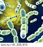 Rod-shaped bacteria, bacilli and cocci in the intestines. Microbiome. Microorganisms or microbes, non-nuclear prokaryotes, archaea. Bacteria are studied by science of bacteriology microbiology. Стоковое AI-изображение, AI-художник Юлия Петровская / Фотобанк Лори