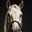 The head of a thoroughbred horse in a business suit on a dark background. Generated by AI. Стоковое AI-изображение, AI-художник Ярославский Максим / Фотобанк Лори
