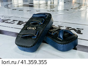 Две фактурные кожаные боксерские лапы черно-синего цвета с логотипом лежат на покрытии боксерского ринга (2023 год). Редакционное фото, фотограф Сергей Никифоров-Гордеев / Фотобанк Лори