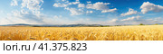 Yellow wheat field on the background of clouds and blue sky. Generated by AI. Стоковое AI-изображение, AI-художник Ярославский Максим / Фотобанк Лори