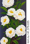 Beautiful white peony flowers close up. Peony is a genus of herbaceous perennials and deciduous shrubs, tree-like peonies. Peony family Paeoniaceae. Fragrant bouquet. Generated by AI. Cream colored. Стоковое AI-изображение, AI-художник Юлия Петровская / Фотобанк Лори