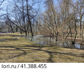 Весна в Екатерингофском парке. Санкт-Петербург (2023 год). Стоковое фото, фотограф Жигалов Евгений Павлович / Фотобанк Лори