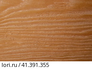 The texture of the wood is subjected to mechanical processing. Стоковое фото, фотограф Воловодов Владимир / Фотобанк Лори
