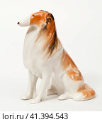 Collie. Стоковое фото, фотограф Андрей Аркуша / Фотобанк Лори
