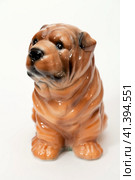 Shar pei puppy. Стоковое фото, фотограф Андрей Аркуша / Фотобанк Лори