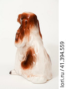 Cocker Spaniel. Стоковое фото, фотограф Андрей Аркуша / Фотобанк Лори