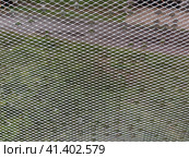 Metal diamond mesh. Стоковое фото, фотограф Andrew_Swarga / Фотобанк Лори