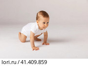 Happy laughing screaming toddler baby in diaper and white bodysuit is crawling on all fours looking at upper corner over white background. Happy infancy and babyhood concept. Стоковое фото, фотограф Ирина Михайличенко / Фотобанк Лори