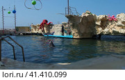 Anapa Russia 08.25.2021 Dolphinarium instructors feed bottlenose dolphin with tasty fish. Dolphins swim in the water and spin hoops on their noses at the command of the coach. Dolphin show. Редакционное видео, видеограф Юлия Петровская / Фотобанк Лори