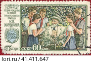 Почтовая марка Иван Владимирович Мичурин (1855-1935) русский, советский биолог и селекционер, автор многих сортов плодово-ягодных культур, доктор биологии (1934). Филателия, СССР, выпуск 1955 года. Стоковое фото, фотограф Сергей Елизарьев / Фотобанк Лори