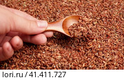 Wooden spoon picks up Dry Red Rice. Long Brown Rice. Close Up. Grains fall poured a stack. World crisis, export, import. Harvest problems, sanctions. Increase prices and shortages of food supplies. Стоковое видео, видеограф Марина Демидюк / Фотобанк Лори