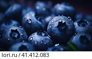 Ripe blueberries in drops of water. Generated by AI. Стоковое AI-изображение, AI-художник Ярославский Максим / Фотобанк Лори