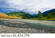 Ручей, впадающий в реку Чую. Горный Алтай. Стоковое фото, фотограф Макаров Алексей / Фотобанк Лори
