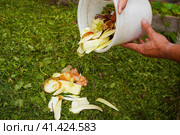 Ecology compost supply - kitchen waste recycling in backyard composter. Environmentally friendly lifestyle. The man throws leftover vegetables from the bowl. Стоковое фото, фотограф Ирина Старикова / Фотобанк Лори