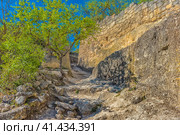 The remains of a medieval fortress city (according to other sources - a monastery) Tepe-Kermen, covering the upper part of the mountain in several tiers (2020 год). Стоковое фото, фотограф Анна Кривицкая / Фотобанк Лори