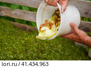 Ecology compost supply - kitchen waste recycling in backyard composter. Environmentally friendly lifestyle. The man throws leftover vegetables from the bowl. Стоковое фото, фотограф Ирина Старикова / Фотобанк Лори