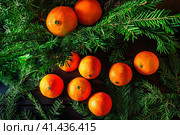 Christmas composition with tangerines and spruce branch. Стоковое фото, фотограф Галина Царькова / Фотобанк Лори