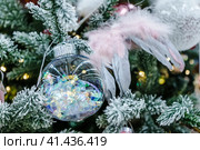 New year and Christmas reeting card with transparent balloon on a spruce branch. Стоковое фото, фотограф Галина Царькова / Фотобанк Лори