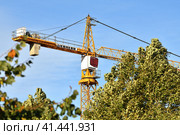 Moscow, Russia - Oct 11.2023. Fragment of Liebherr crane behind the trees. Редакционное фото, фотограф Володина Ольга / Фотобанк Лори
