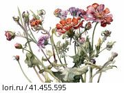 Geranium flowers watercolor illustration, watercolor style, Generative AI. Стоковое AI-изображение, AI-художник Анна Кривицкая / Фотобанк Лори
