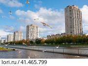 Река Смоленка вышла из берегов после дождей .Санкт-Петербург. (2023 год). Редакционное фото, фотограф Татьяна Шикова / Фотобанк Лори