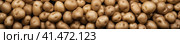 Background of scattered tubers of ripe potatoes. Generated by AI. Стоковое AI-изображение, AI-художник Ярославский Максим / Фотобанк Лори