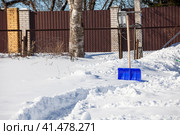 The path on the site has been cleared of snow using a snow shovel. Стоковое фото, фотограф Кекяляйнен Андрей / Фотобанк Лори