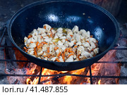 Приготовление мяса в большом казане на открытом огне. Стоковое фото, фотограф Евгения Колодкина / Фотобанк Лори