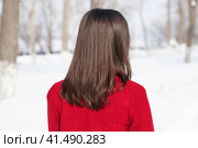 Rear view, Hair beauty brunette woman. Стоковое фото, фотограф Андрей Аркуша / Фотобанк Лори