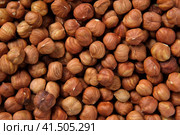 Hazelnuts harvest. Filbert video wallpaper. Full frame of hazel. Cobnut background. Peeled brown nut kernels. Healthy organic bio products. Vegetarian, vegan and raw food. Back to nature. Healthy fat. Стоковое фото, фотограф Марина Демидюк / Фотобанк Лори