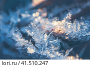 Natural background with hoar frost. Beautiful ice crystals during frosts. Macro shot of hoarfrost patterns. Snowflakes close-up. Rime ice on the stems of plants. Winter nature. Shallow depth of field. Стоковое фото, фотограф Андрей Степанов / Фотобанк Лори
