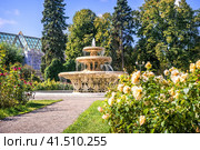 Фонтан и розарий, Парк Горького, Москва (2023 год). Стоковое фото, фотограф Baturina Yuliya / Фотобанк Лори