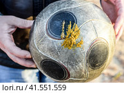ball is in dog shit. The ball hitched. Стоковое фото, фотограф Леонид Еремейчук / Фотобанк Лори